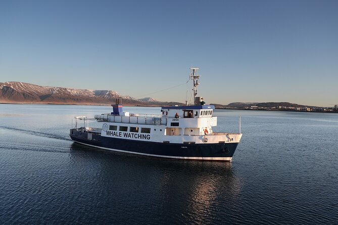 New Years Fireworks by Boat from Reykjavik - The boat and party atmosphere