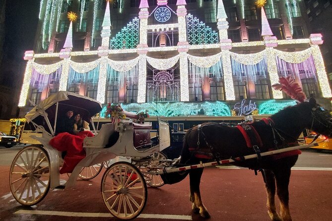New York City Christmas Lights Private Horse Carriage Ride - What Makes This Ride Worth Considering