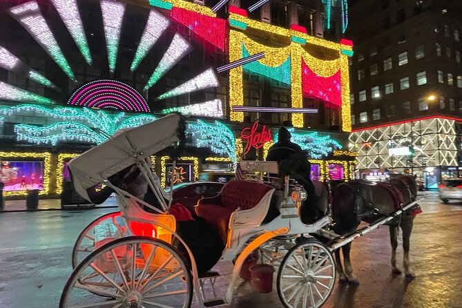 New York City Christmas Lights Private Horse Carriage Ride - From Central Park to Fifth Avenue