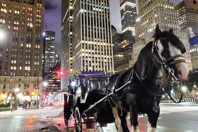 New York City Christmas Lights Private Horse Carriage Ride - Guides, Horses, Music, and Warmth