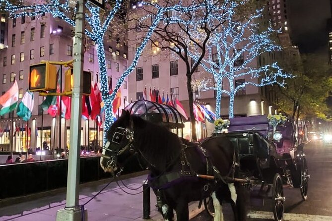 New York City Christmas Lights Private Horse Carriage Ride - The Experience for Couples and Families