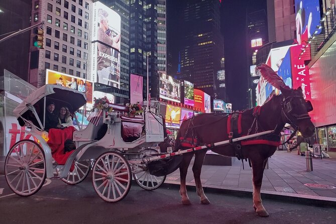New York City Christmas Lights Private Horse Carriage Ride - Is $220 a Fair Price?