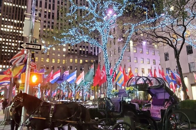 New York City Christmas Lights Private Horse Carriage Ride - Timing Your Evening