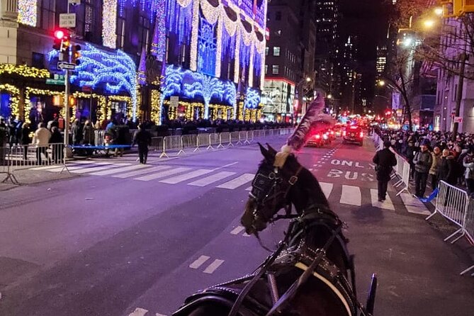 New York City Christmas Lights Private Horse Carriage Ride - Practical Details Before You Book
