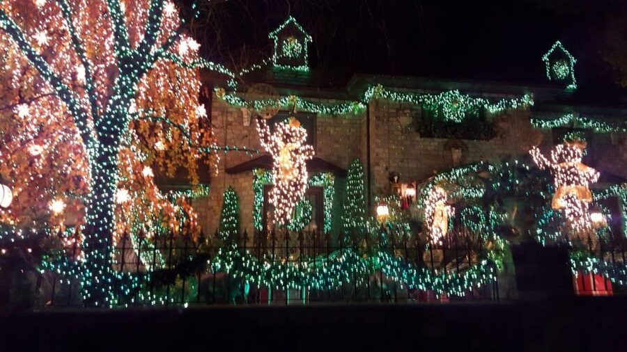 New York City: Dyker Heights Christmas Lights Tour - Final verdict: a festive Brooklyn night with useful extras