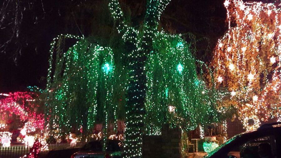 New York City: Dyker Heights Christmas Lights Tour - Why Dyker Heights works so well at Christmas
