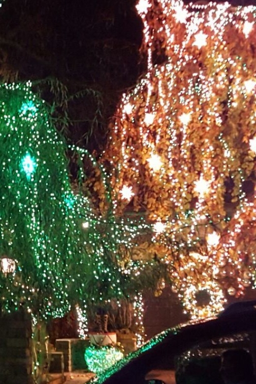 New York City: Dyker Heights Christmas Lights Tour - The guide can shape the whole evening