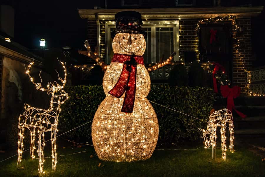 New York: Dyker Heights Christmas Lights Guided Tour - What Makes This Christmas Lights Tour Worth Considering