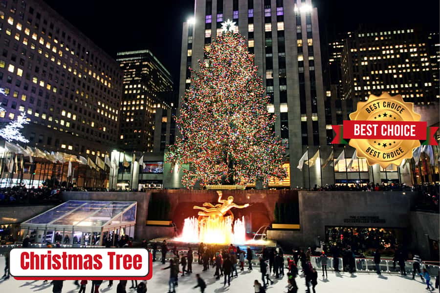 New York: Rockefeller Center Christmas Tree Pedicab Tour - Rockefeller Center and the tree