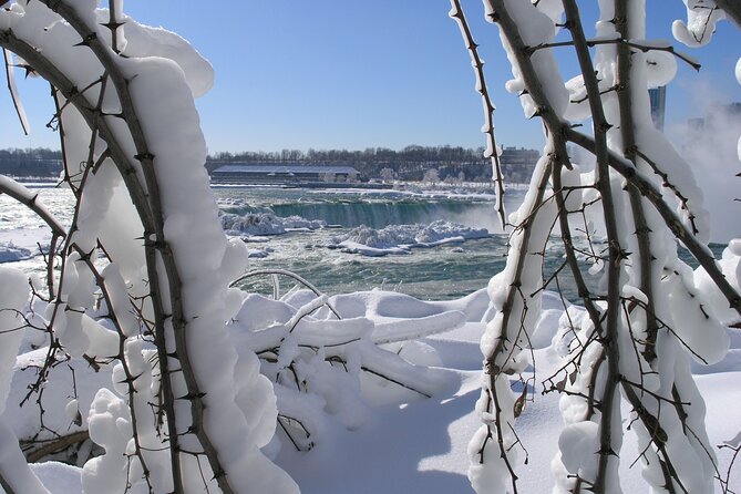 Niagara Falls Winter Wonderland Small Group Tour - What the $96.95 price includes