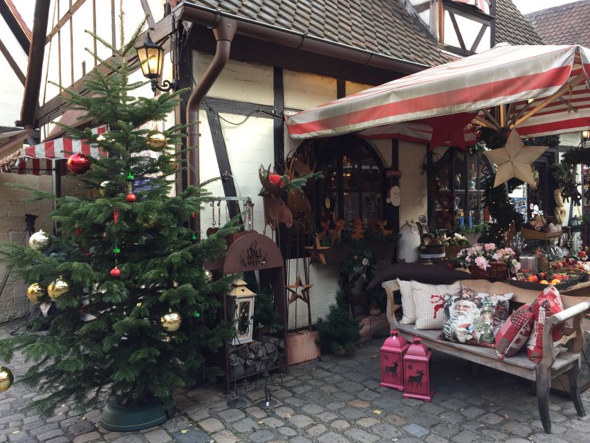 Nuremberg: Christmas City Culinary Tour - Price, pace, and practical comfort