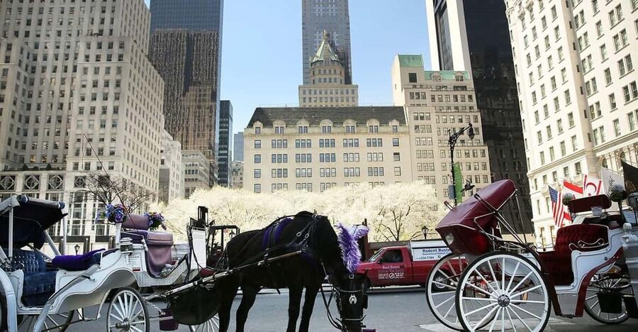 NYC: Central Park Christmas Lights Horse-Drawn Carriage Ride - Through Central Park under holiday lights