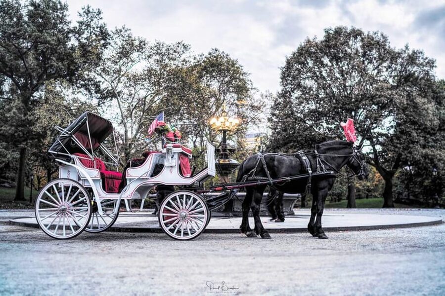 NYC: Central Park Christmas Lights Horse-Drawn Carriage Ride - Who should book this ride