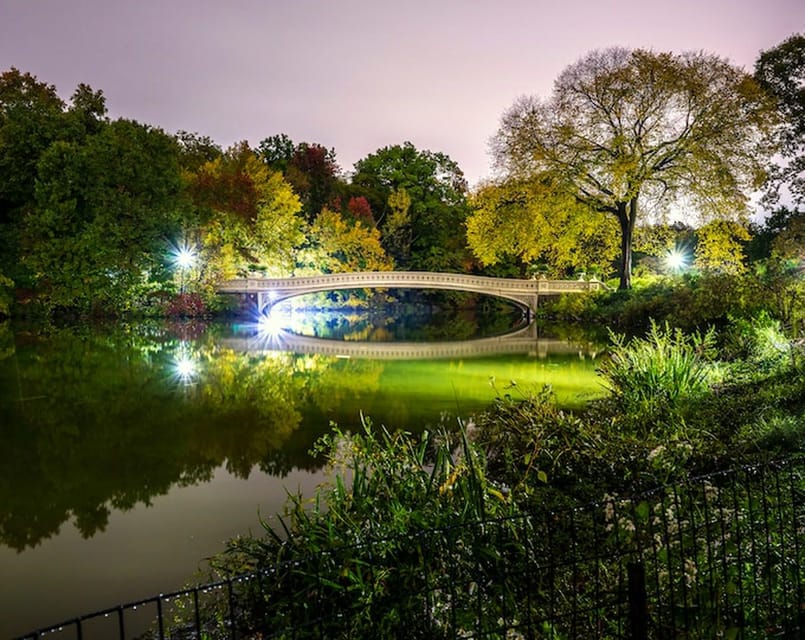 NYC: Central Park Christmas Lights Horse-Drawn Carriage Ride - Is the Central Park Christmas carriage ride worth it?