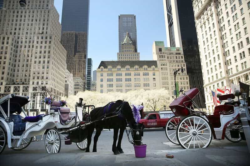 NYC: Central Park Christmas Lights Horse-Drawn Carriage Ride - Rockefeller Center and the Christmas tree