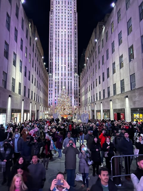 NYC: Christmas Lights Horse Carriage Ride - Key points to know before booking