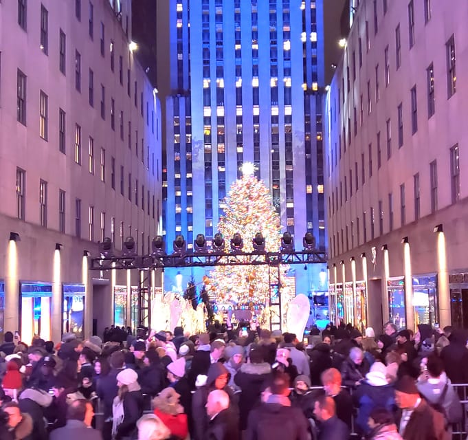 NYC: Christmas Lights Horse Carriage Ride - Starting beside Central Park at 59th Street