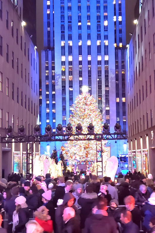 NYC: Christmas Lights Horse Carriage Ride - St. Patrick’s Cathedral and the Bank of America Tower