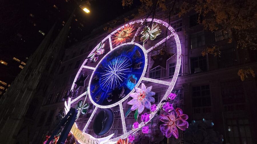 NYC: Christmas Lights Horse Carriage Ride - What the private format really adds