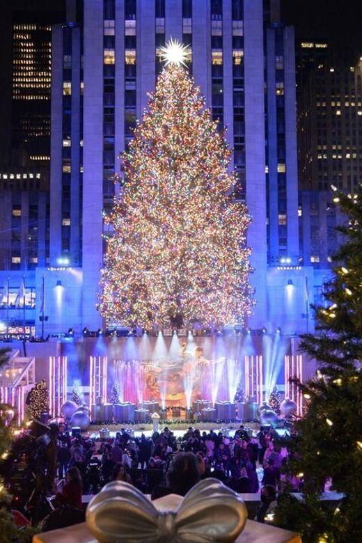NYC: Dyker Heights and NYC Holiday Lights Luxury Bus Tour - Dyker Heights: the main event for one hour