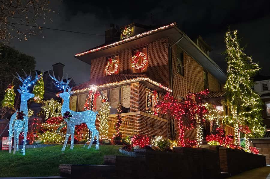 NYC: Dyker Heights Christmas Lights Tour with Hot Cocoa - Who should book this Christmas lights tour?
