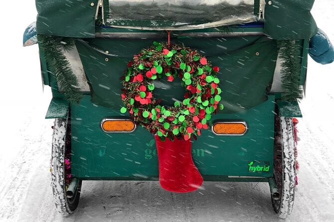 NYC Holiday Lights and Magic Pedicab Tour - A one-hour ride through New York’s holiday center