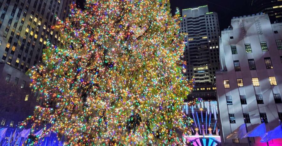 NYC: Holiday Lights Guided Bus Tour - Wall Street, Federal Hall, and the Christmas tree