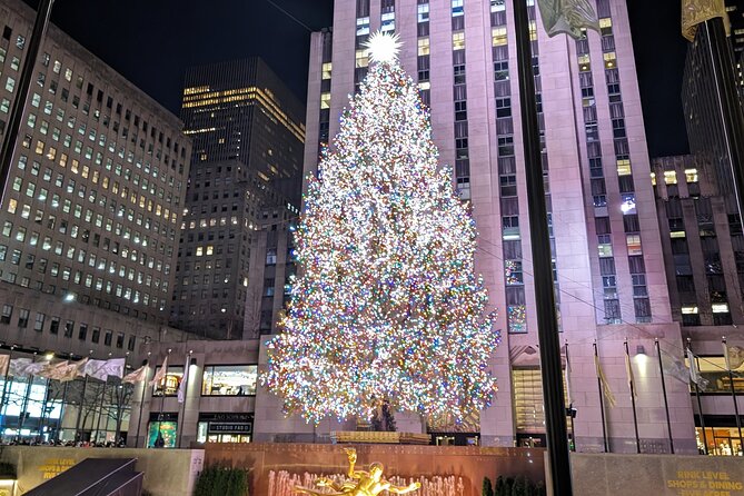 NYC Holiday Lights Tour - Key points to know before booking