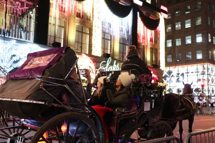 NYC: Magical Christmas Lights Carriage Ride - Rockefeller Center and the Christmas tree