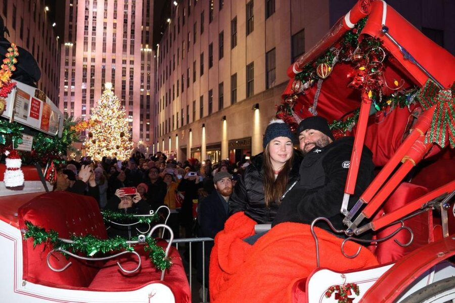 NYC: Magical Christmas Lights Carriage Ride - What the guide adds to the ride
