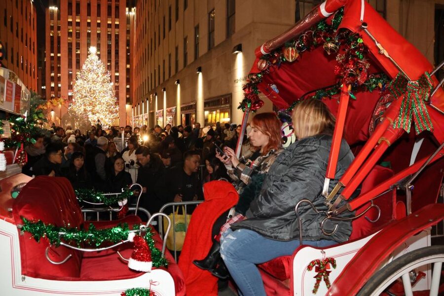 NYC: Magical Christmas Lights Carriage Ride - Cold weather, rain, and comfort
