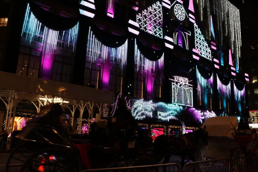 NYC: Magical Christmas Lights Carriage Ride - Meeting at the Jose Marti Statue