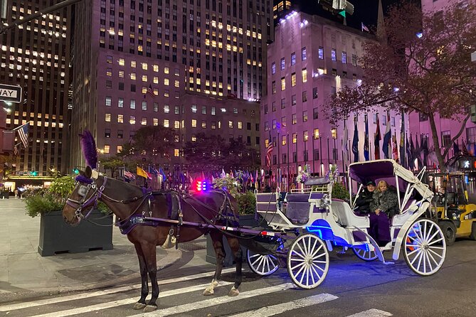 NYC : Magical Christmas Lights Private Horse Carriage Ride - A horse-drawn start at Central Park South
