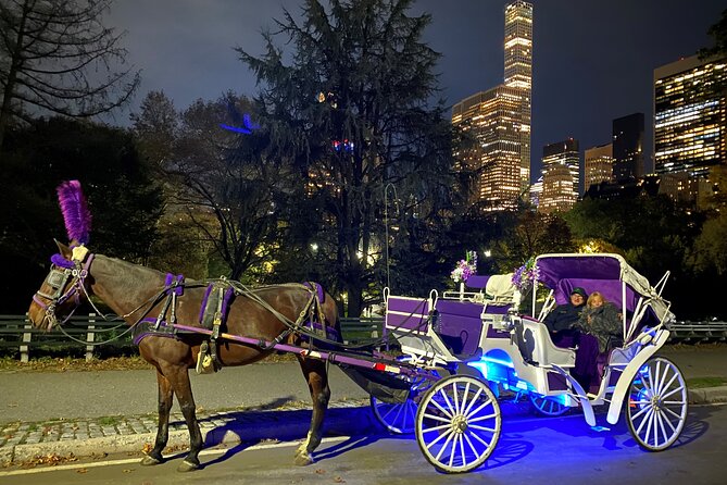 NYC : Magical Christmas Lights Private Horse Carriage Ride - Central Park by carriage, with a slower view
