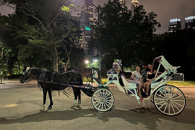 NYC : Magical Christmas Lights Private Horse Carriage Ride - Cold-weather comfort and what to wear