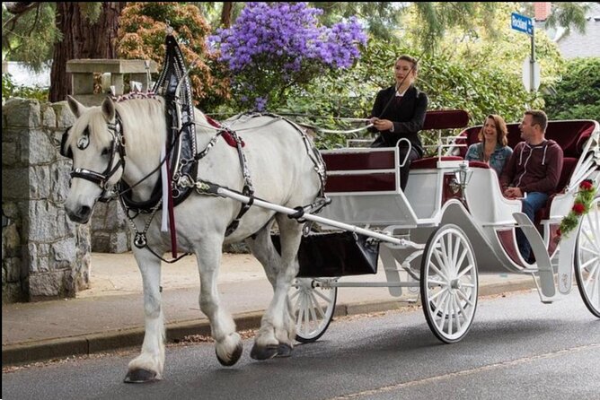 NYC : Magical Christmas Lights Private Horse Carriage Ride - Who will enjoy this Christmas carriage ride