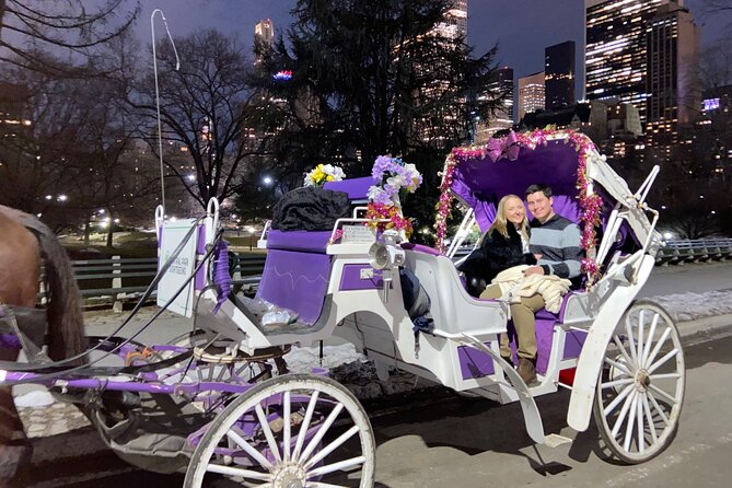 NYC : Magical Christmas Lights Private Horse Carriage Ride - Booking timing and cancellation rules