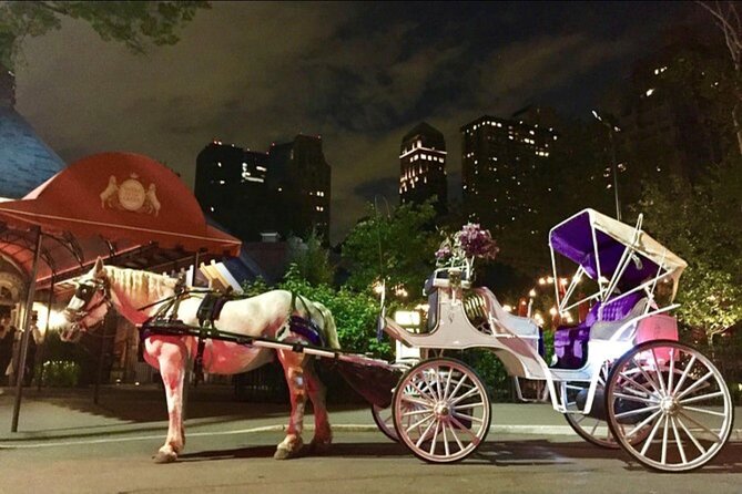 NYC : Magical Christmas Lights Private Horse Carriage Ride - Holiday lights along 5th Avenue and Midtown