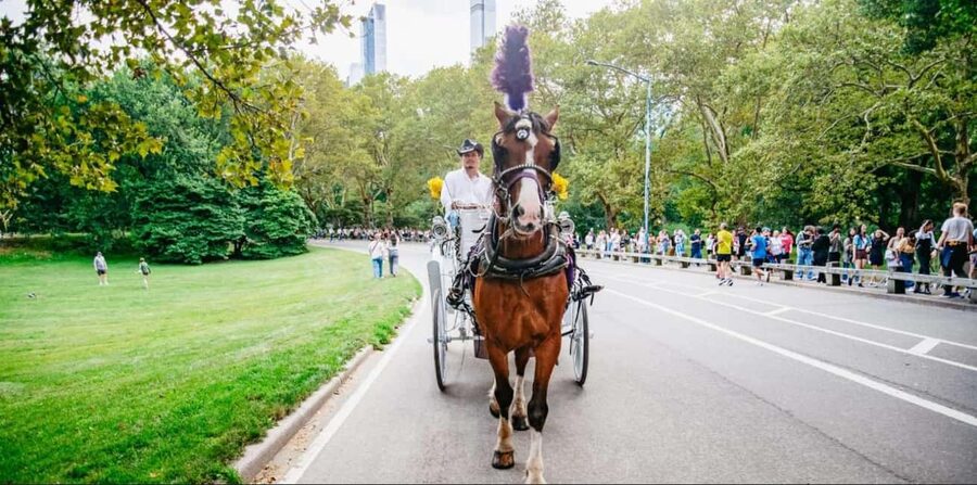 NYC: Private Christmas Lights Horse Carriage Ride - Key points to know before booking