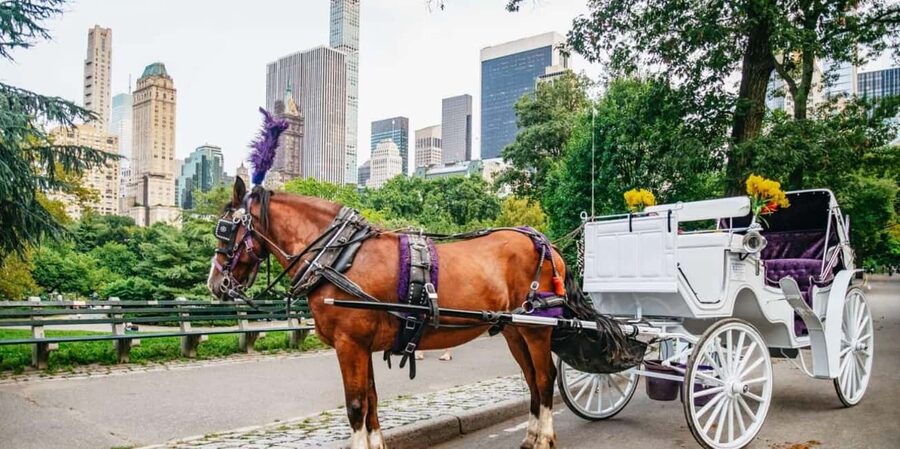 NYC: Private Christmas Lights Horse Carriage Ride - The Plaza Hotel and the southern end of Fifth Avenue