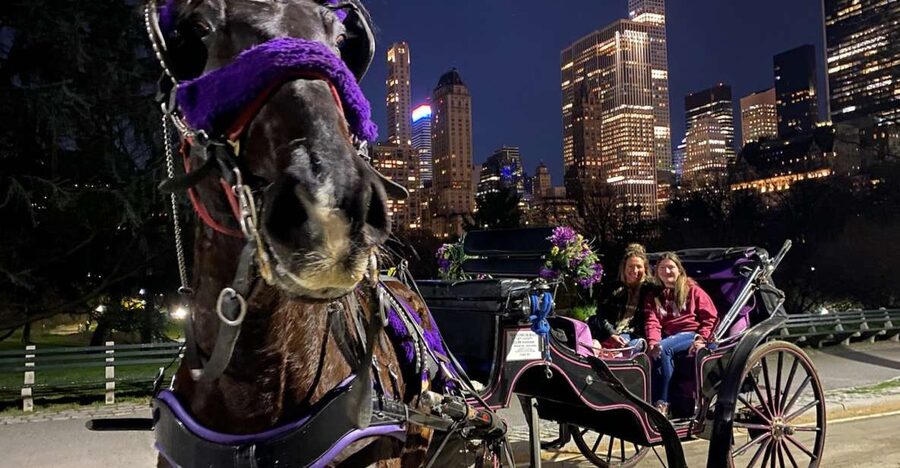 NYC: Private Christmas Lights Horse Carriage Ride - Saks Fifth Avenue, Cartier, and Tiffany