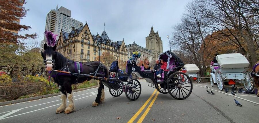 NYC: Private Christmas Lights Horse Carriage Ride - St. Patrick’s Cathedral and Rockefeller Center