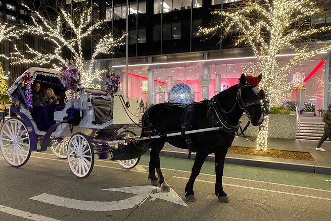 NYC Rockefeller Center Christmas Lights Horse Carriage Ride - Key points at a glance