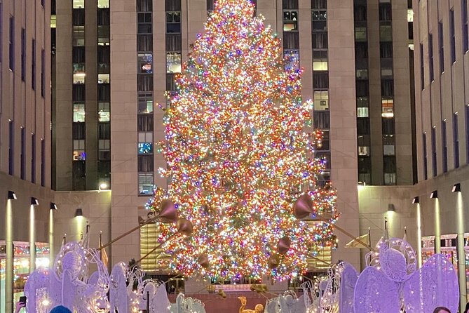 NYC Rockefeller Center Christmas Lights Horse Carriage Ride - Central Park’s southern sights