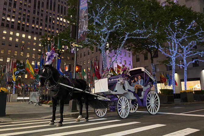 NYC Rockefeller Center Christmas Lights Horse Carriage Ride - Rockefeller Center’s Christmas tree