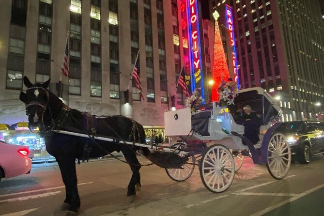 NYC Rockefeller Center Christmas Lights Horse Carriage Ride - Is $292 a fair price?