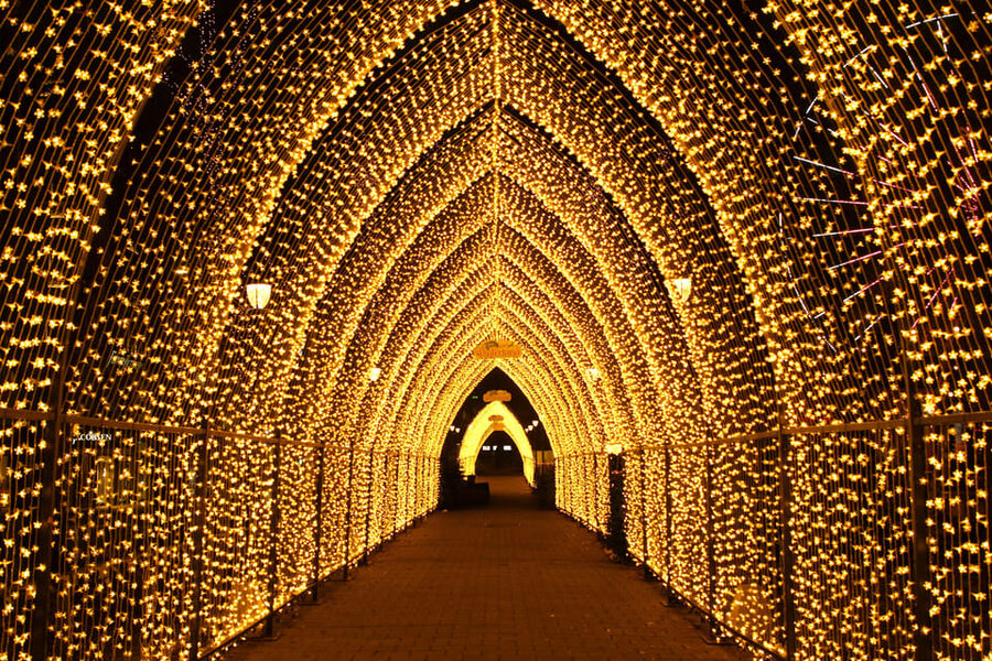 Oslo: 2-hour Christmas Private Walking Tour - Oslo at Christmas: what this walk really offers