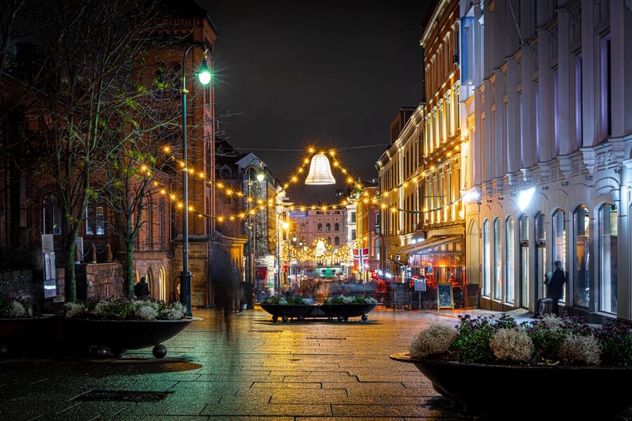 Oslo: 2-hour Christmas Private Walking Tour - The National Theatre and the walk toward the palace