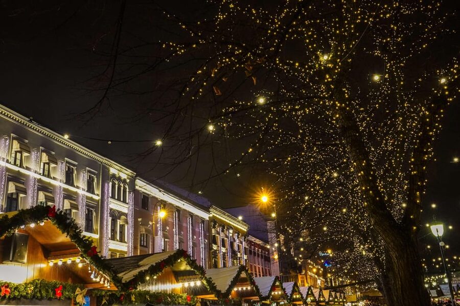 Oslo: 2-hour Christmas Private Walking Tour - Karl Johans gate, Parliament, and the Royal Palace