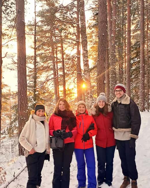 Oslo: Winter Wonderland Forest Hike and Campfire with a Dog - From Oslo station to Kolbotn forest